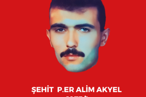 Şehitlerimiz