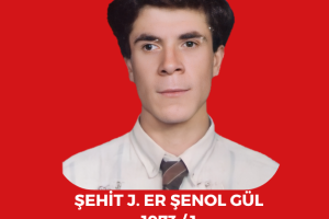 Şehitlerimiz