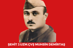 Şehitlerimiz