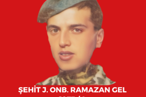 Şehitlerimiz