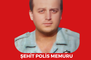 Şehitlerimiz