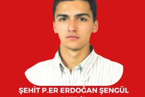 Şehitlerimiz