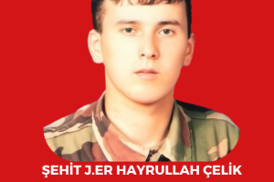 Şehitlerimiz