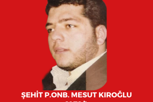 Şehitlerimiz