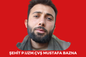Şehitlerimiz