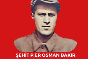 Şehitlerimiz