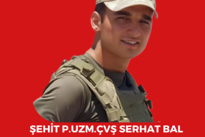 Şehitlerimiz